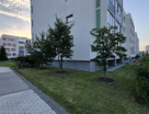 Студия, 24,6 м²