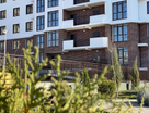 Студия, 25&nbsp;м²