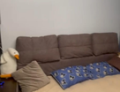Студия, 23&nbsp;м²