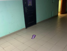 Помещение свободного назначения, 52,9&nbsp;м²