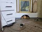 2-к. квартира, 49,3&nbsp;м²