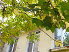 1-к. квартира, 30,3&nbsp;м²