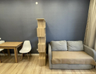 Студия, 24,1 м²