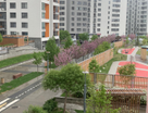 3-к. квартира, 83,5&nbsp;м²