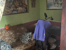 1-к. квартира, 34,4&nbsp;м²