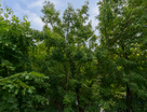 3-к. квартира, 65,1&nbsp;м²