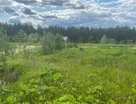 Участок (ижс), 13 сот.