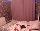 1-к. квартира, 33,3&nbsp;м²