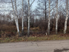 Участок (садоводство), 10 сот.