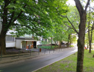 3-к. квартира, 79,3 м²