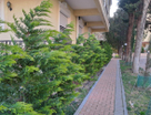 4-к. квартира, 242&nbsp;м²