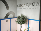 Студия, 21&nbsp;м²