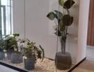 1-к. квартира, 50,4&nbsp;м²