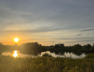 Участок (ижс), 10 сот.