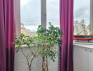 3-к. квартира, 87&nbsp;м²