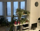 1-к. квартира, 42,5&nbsp;м²
