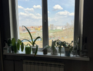 3-к. квартира, 70&nbsp;м²