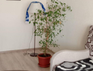 2-к. квартира, 54,5&nbsp;м²