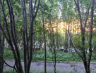 3-к. квартира, 61,2&nbsp;м²