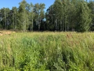 Участок (земля днп), 6 сот.