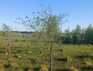 Участок (ижс), 14,6 сот.