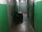 Студия, 22,8 м²