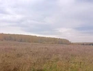 Участок (садоводство), 10,2 сот.