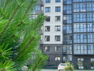 Студия, 25&nbsp;м²