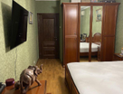 3-к. квартира, 97,5&nbsp;м²