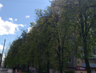 1-к. квартира, 33&nbsp;м²