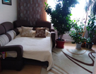 1-к. квартира, 43,9&nbsp;м²