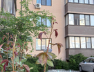 1-к. квартира, 37&nbsp;м²