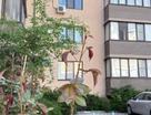 1-к. квартира, 37&nbsp;м²