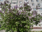 1-к. квартира, 37&nbsp;м²