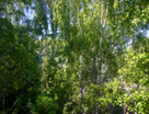 1-к. квартира, 19,1&nbsp;м²