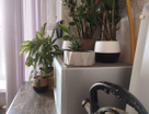 3-к. квартира, 52,5&nbsp;м²
