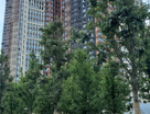 1-к. квартира, 56&nbsp;м²