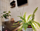 Комната, 13&nbsp;м²