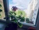 3-к. квартира, 65&nbsp;м²