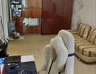 1-к. квартира, 33,1&nbsp;м²