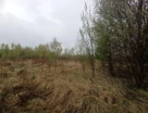 Участок (земля с/х назначения), 51 сот.