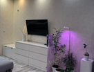 Студия, 24&nbsp;м²
