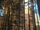 1-к. квартира, 38,7 м²