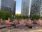 3-к. квартира, 94,2 м²