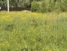 Участок (промназначения), 6 сот.