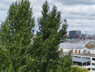 3-к. квартира, 64,2&nbsp;м²