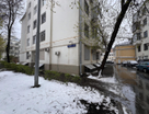 Студия, 11&nbsp;м²
