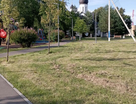 Участок (личное подсобное хозяйство), 8 сот.