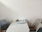 Студия, 22,9 м²