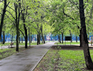 1-к. квартира, 33,1&nbsp;м²